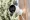 Wired Outdoor Security Cameras