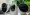 Wireless Security Cameras